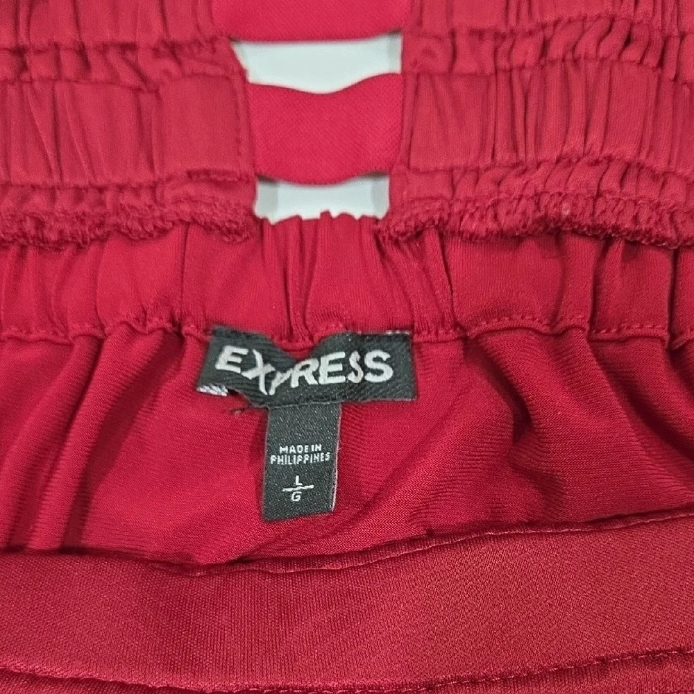 Express Bold Red Dress - Picture 7 of 8